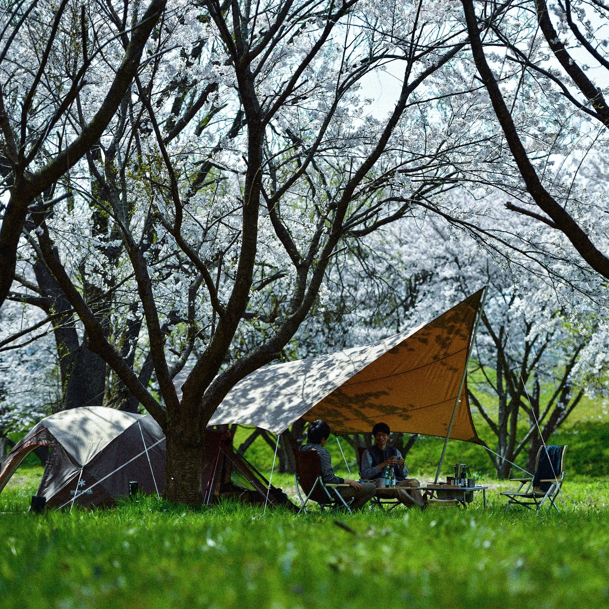 HD Hexa Tarp L